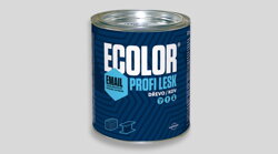 ECOLOR PROFI lesk